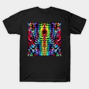 Rainbow Tie Dye Stripe T-Shirt